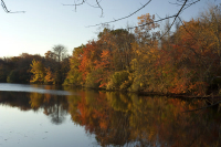 The Great Outdoors